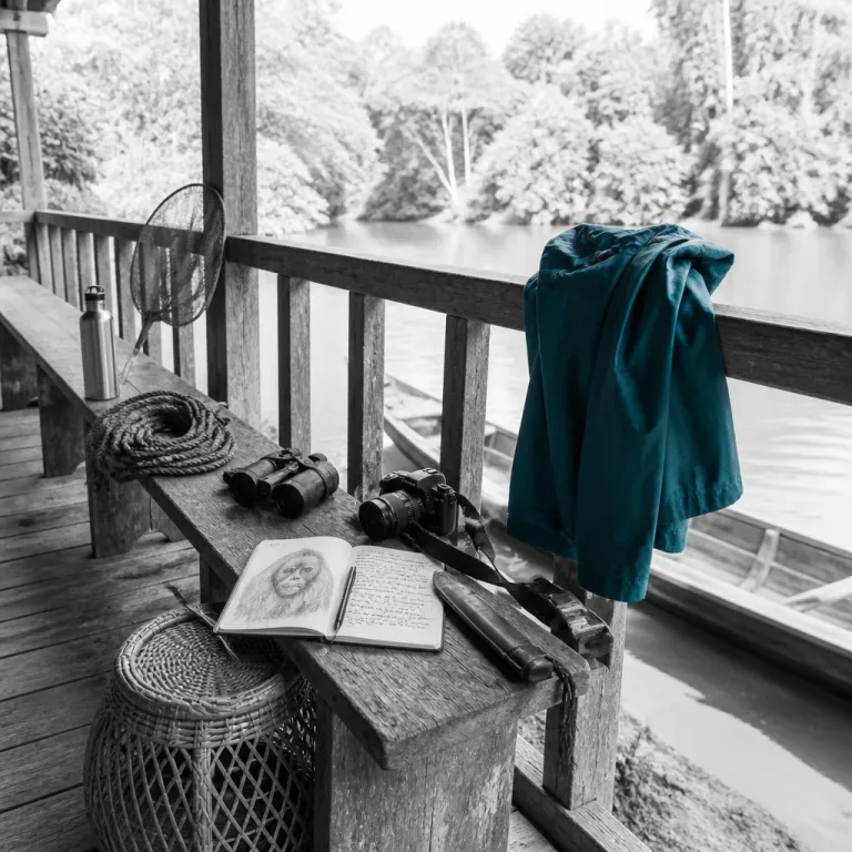 Into Borneo's Interior: Orangutans, River Longhouses, and the Rainforest at the Edge of the Map